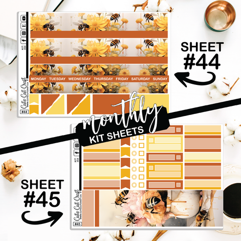 Bumble Bee #354 || CHP Dashboard Weekly & Monthly