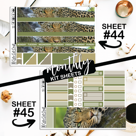 Leopard #406 || CHP Dashboard Weekly & Monthly