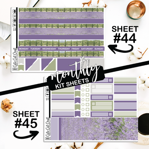 Lavender Fields #346 || CHP Dashboard Weekly & Monthly