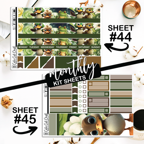 Water Buddies #342 || CHP Dashboard Weekly & Monthly