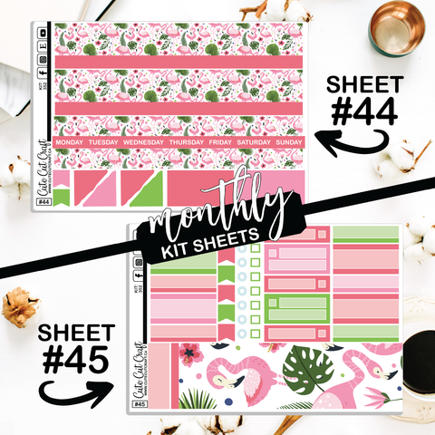 Flamingo Fling #352 || CHP Dashboard Weekly & Monthly