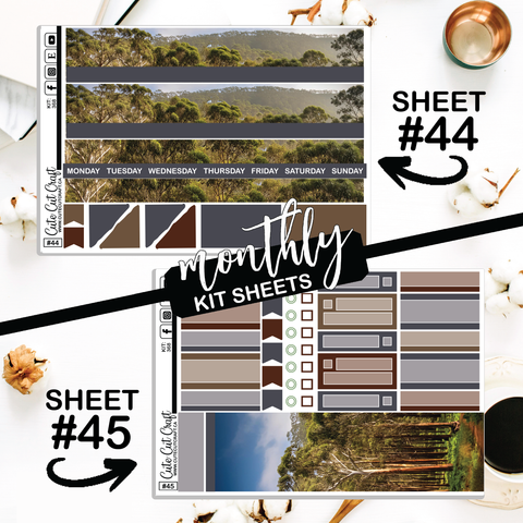 Cute Koala #368 || CHP Dashboard Weekly & Monthly