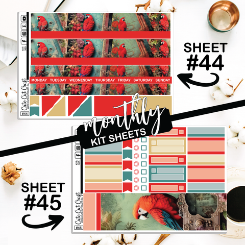 Red Parrot #365  || CHP Dashboard Weekly & Monthly