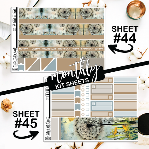 Retro Dandelion #277 || CHP Dashboard Weekly & Monthly