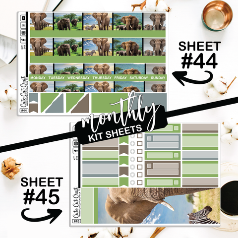 Elephant Expedition #349 || CHP Dashboard Weekly & Monthly