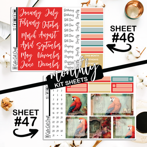 Red Parrot #365  || CHP Dashboard Weekly & Monthly