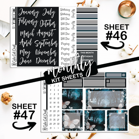 Blue Butterfly #397 || CHP Dashboard Weekly & Monthly