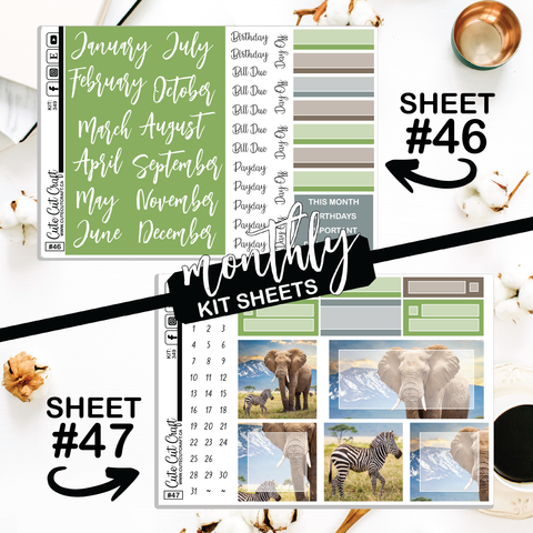 Elephant Expedition #349 || CHP Dashboard Weekly & Monthly