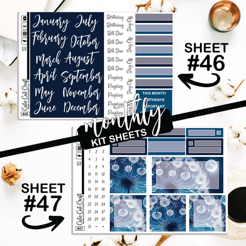 Moonlight Dandy #252 || CHP Dashboard Weekly & Monthly