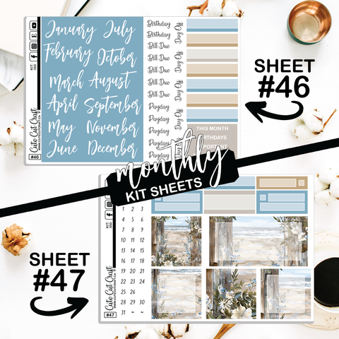 Beachscape #350 || CHP Dashboard Weekly & Monthly