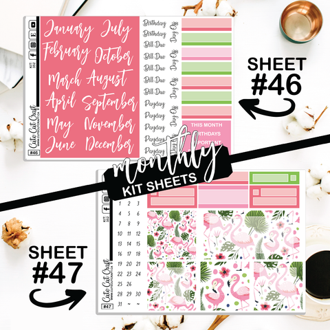 Flamingo Fling #352 || CHP Dashboard Weekly & Monthly