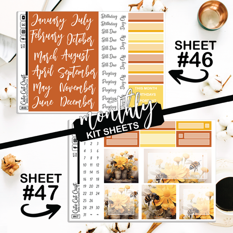 Bumble Bee #354 || CHP Dashboard Weekly & Monthly
