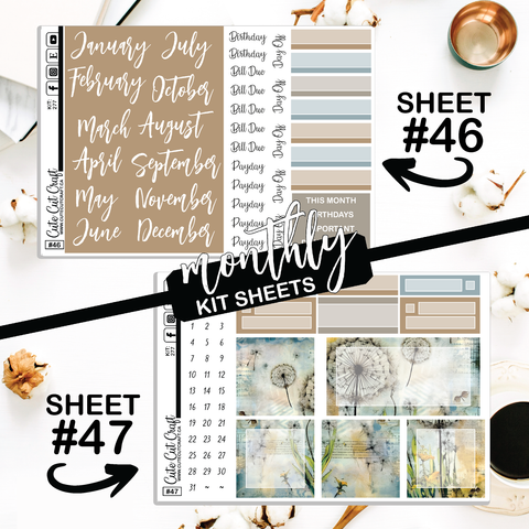 Retro Dandelion #277 || CHP Dashboard Weekly & Monthly