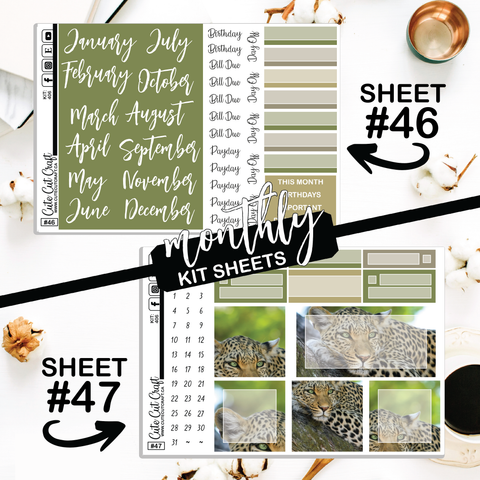 Leopard #406 || CHP Dashboard Weekly & Monthly