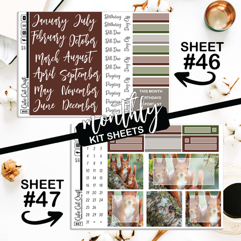 Magic Squirrel #351 || CHP Dashboard Weekly & Monthly