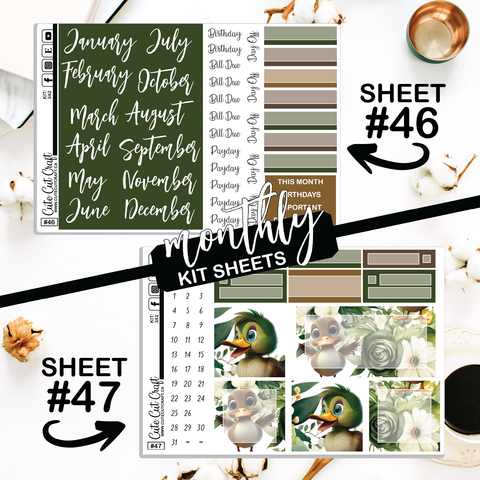 Water Buddies #342 || CHP Dashboard Weekly & Monthly