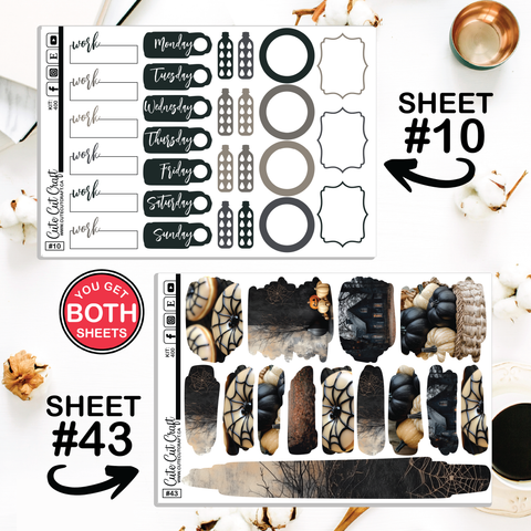 Spooky Fall #400 || CHP Dashboard Weekly & Monthly