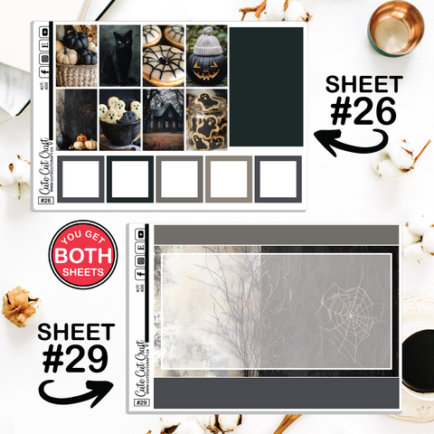 Spooky Fall #400 || CHP Dashboard Weekly & Monthly