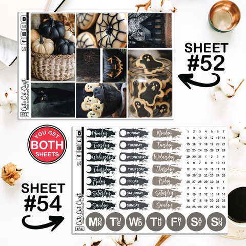 Spooky Fall #400 || CHP Dashboard Weekly & Monthly