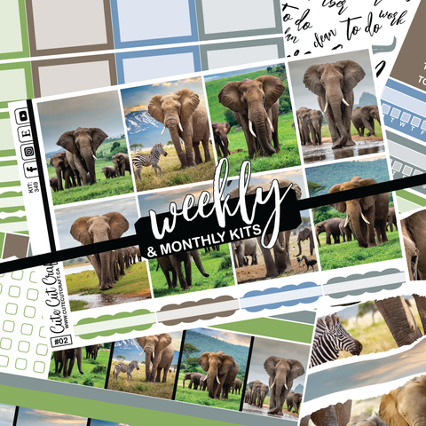 Elephant Expedition #349 || ECLP Weekly & Monthly