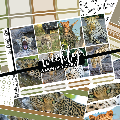 Leopard #406 || ECLP Weekly & Monthly