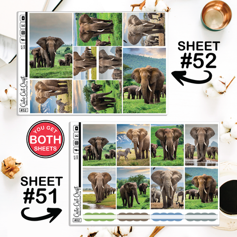 Elephant Expedition #349 || ECLP Weekly & Monthly