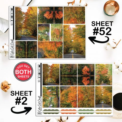 Autumn Anthem #381 || ECLP Weekly & Monthly