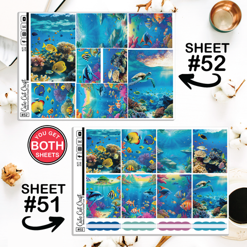 Ocean Life #256 || ECLP Weekly & Monthly