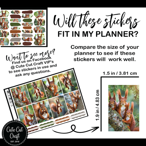 Magic Squirrel #351 || ECLP Kit [PRINTABLE]