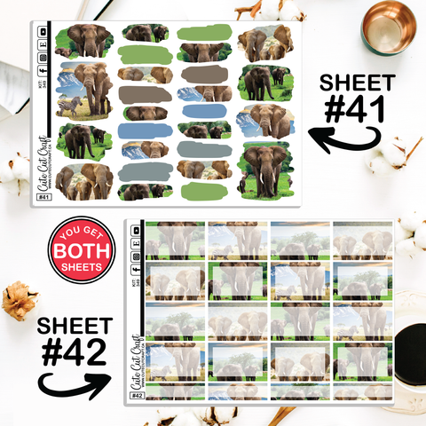 Elephant Expedition #349 || ECLP Weekly & Monthly