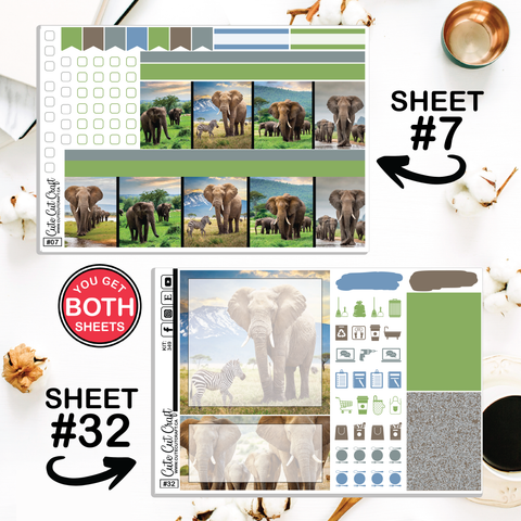 Elephant Expedition #349 || ECLP Weekly & Monthly