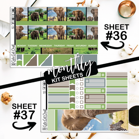 Elephant Expedition #349 || ECLP Weekly & Monthly