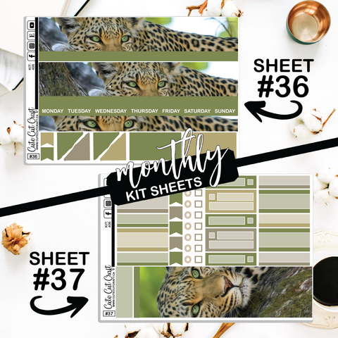 Leopard #406 || ECLP Weekly & Monthly