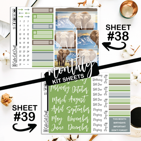 Elephant Expedition #349 || ECLP Weekly & Monthly