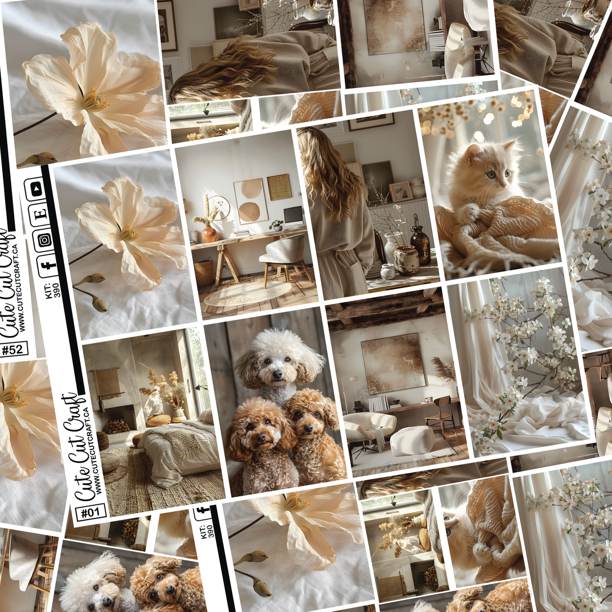 Home Getaway #390 || Full Boxes