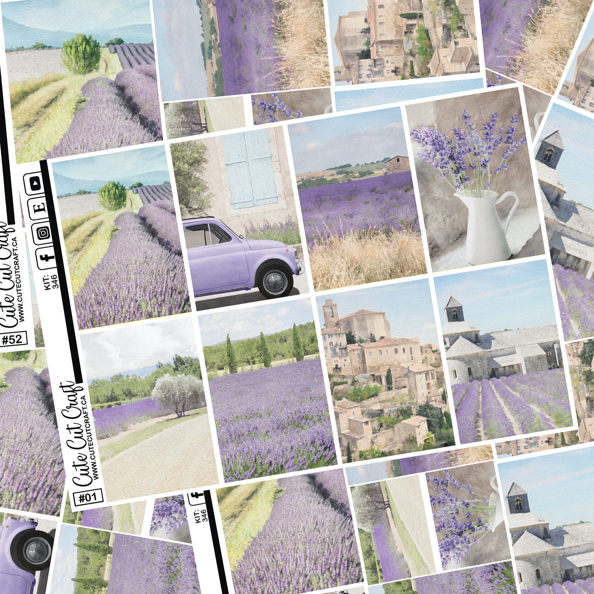 Lavender Fields #346 || Full Boxes