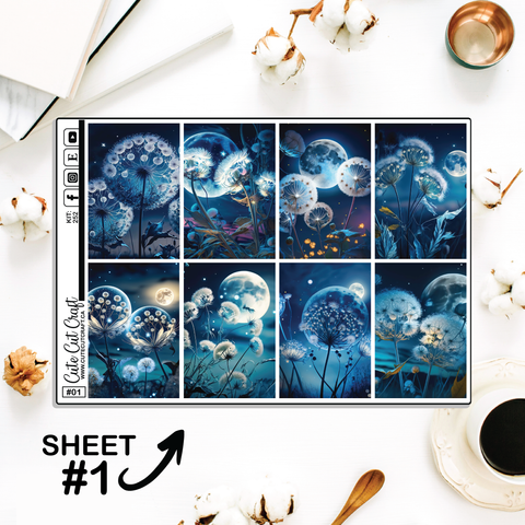 Moonlight Dandy #252 || Full Boxes