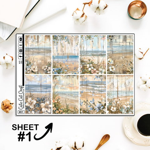 Beachscape #350 || Full Boxes