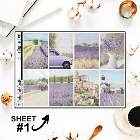 Lavender Fields #346 || Full Boxes