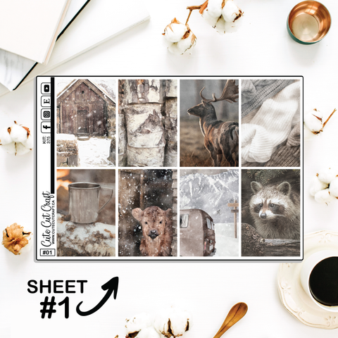 Winter Solitude #375 || Full Boxes