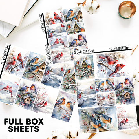 Winter Birds #318 || Full Boxes