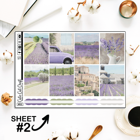 Lavender Fields #346 || Full Boxes