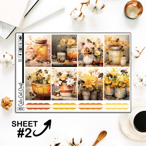 Bumble Bee #354 || Full Boxes