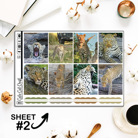 Leopard #406 || Full Boxes