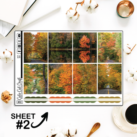 Autumn Anthem #381 || Full Boxes