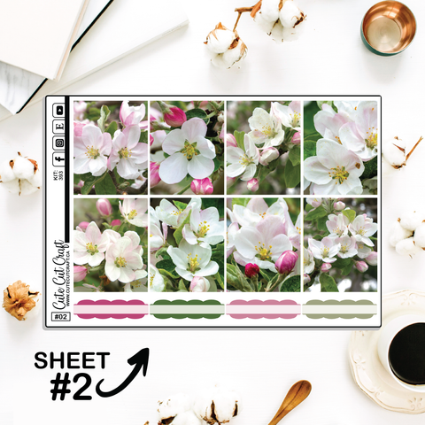 Apples In Bloom #393 || Full Boxes