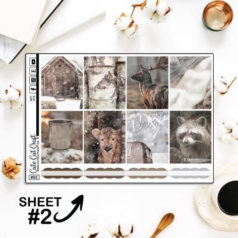 Winter Solitude #375 || Full Boxes