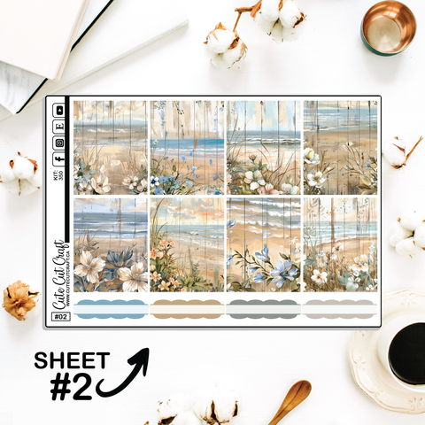 Beachscape #350 || Full Boxes