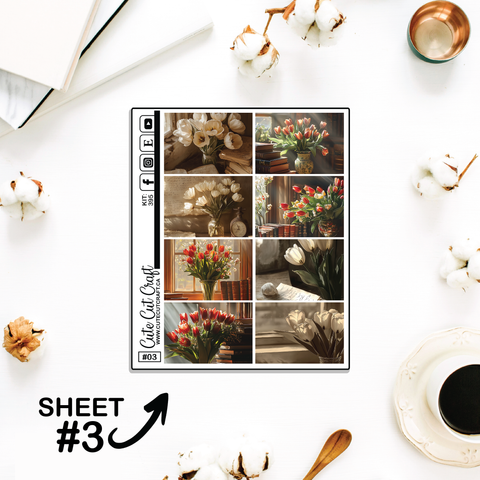 Vintage Tulip #395 || Full Boxes