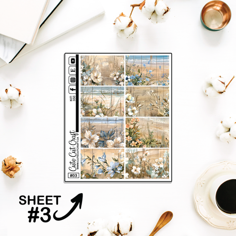 Beachscape #350 || Full Boxes